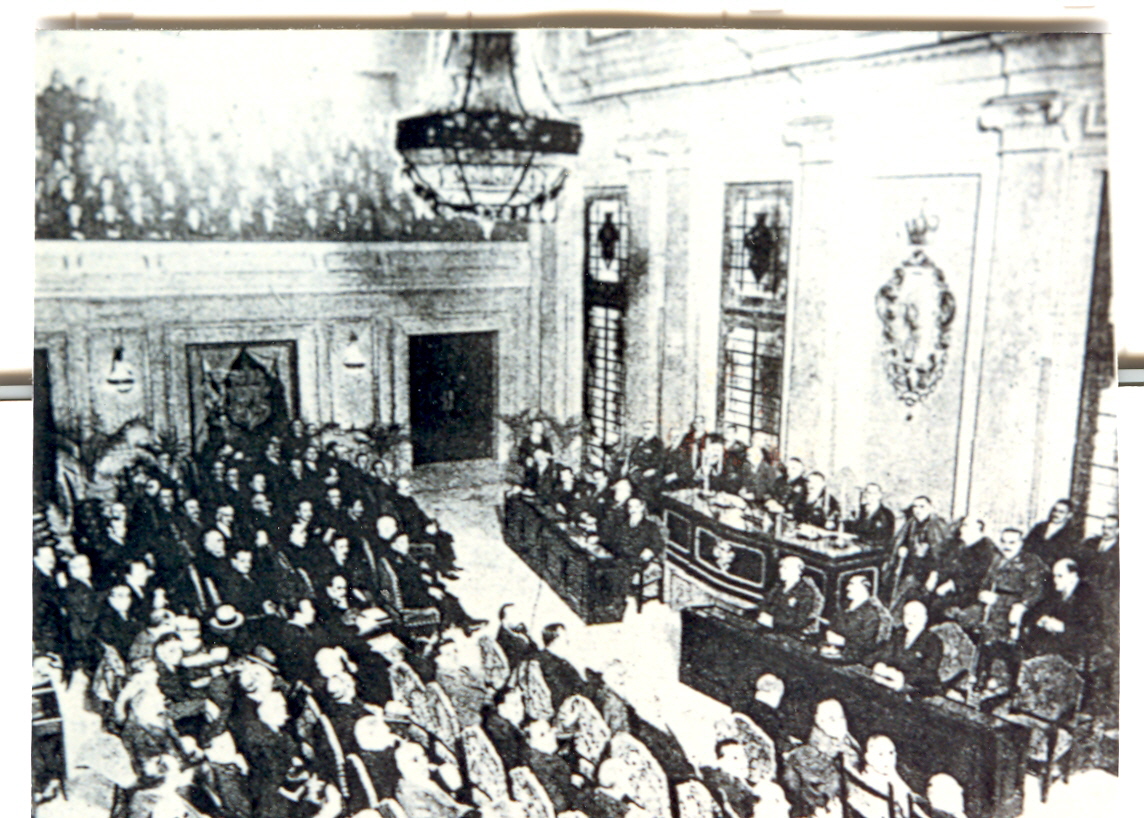 Assemblea substitutiva CHS