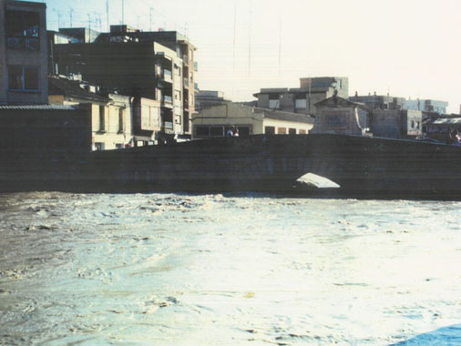 Rio Segura Rojales