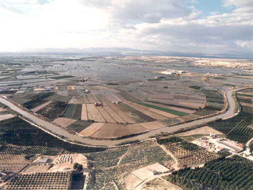 Riada Rio Segura Vega Baja