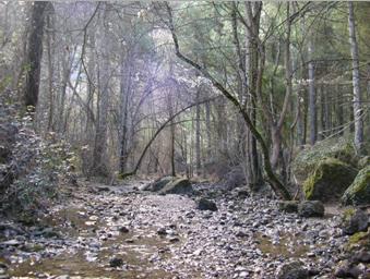 Río Mundo. Riopar. (Albacete)