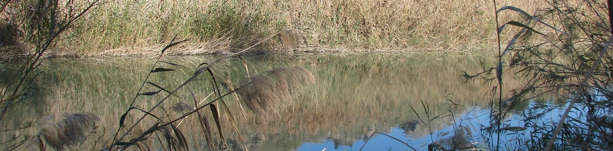 El Menju, Río Segura. Cieza, Murcia (Autor: Ignacio Villanueva)