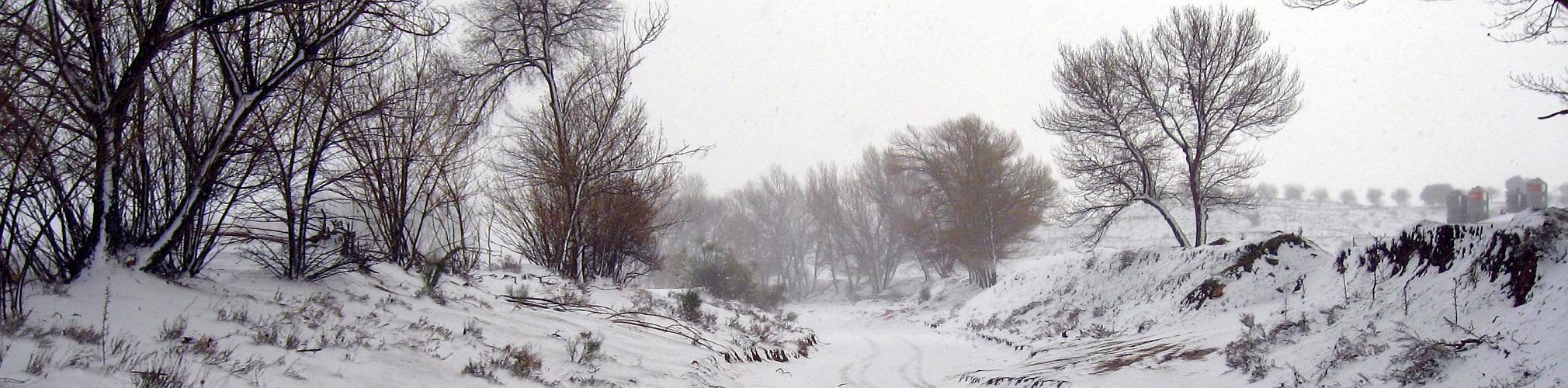 Rambla de Chirivel. Chirivel, Almería (Autor: Francisco Roselló)