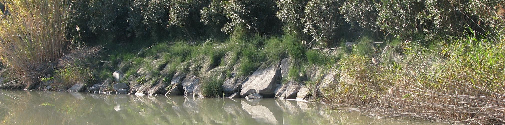 Río Segura. Archena, Murcia (Autor: Ignacio Villanueva)