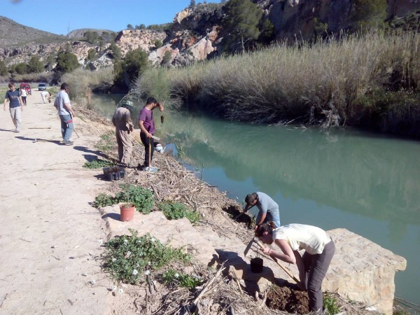 FIN-TEMPORADA-DE-PLANTACIONES