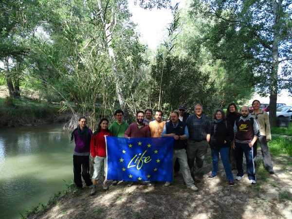 limpieza-de-frezaderos-de-barbo