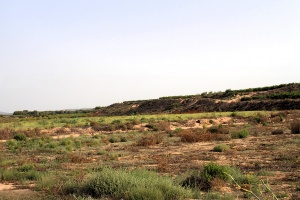 El Consejo de Ministros autoriza la contratación de las obras de protección frente a  