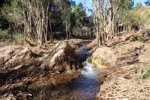 La CHS impulsa la mejora ambiental de la Reserva Natural Fluvial del río Chícamo 