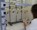 /descargas/informaciongeneral/comunicacion/noticias/img/2019-03-Marzo/Laboratorio-CHS.jpg