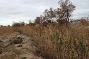 La CHS adjudica las obras de restauración y laminación de las cañadas de Mendoza y Mo 