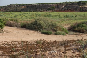 La Dirección General del Agua (MITECO) licita las obras de corrección hidrológica y l 