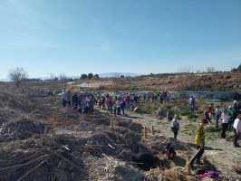 La CHS y el Centro Social de Personas Mayores de Molina de Segura se unen para restau 