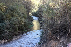 La CHS impulsa la caracterización de las masas de agua superficiales y el seguimiento 