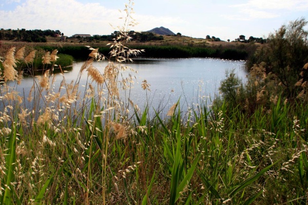 LAGUNADEALBORAJTOBARRA