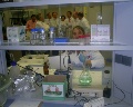 /descargas/informaciongeneral/comunicacion/noticias/img/antiguas/visitagromediterrxneanov09i.JPG
