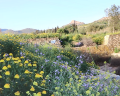 /descargas/informaciongeneral/comunicacion/noticias/img/dique-flores.png?__scale=undefined&format=real&description=