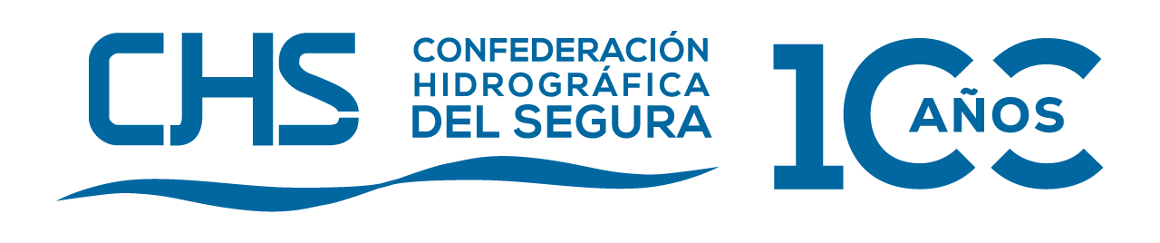 logo centenario